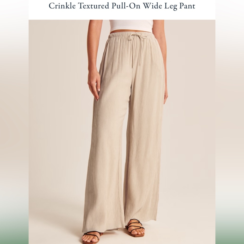 Abercrombie Crinkle Textured Pull-On Wide Leg Pant